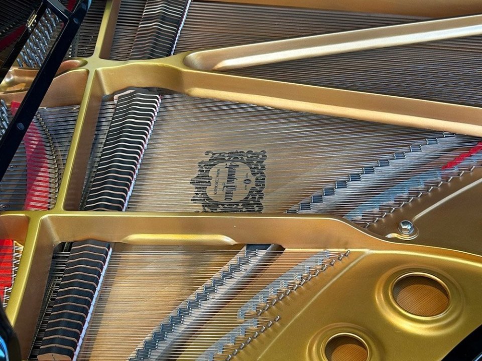 YAMAHA C5 PE - Góc nhìn thực tế 6